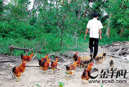 海南文昌2009年可发射神八(组图)