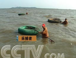������Ǯ�ٿ���׬