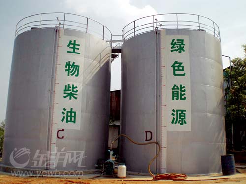 恶臭潲水油,转眼成清亮柴油