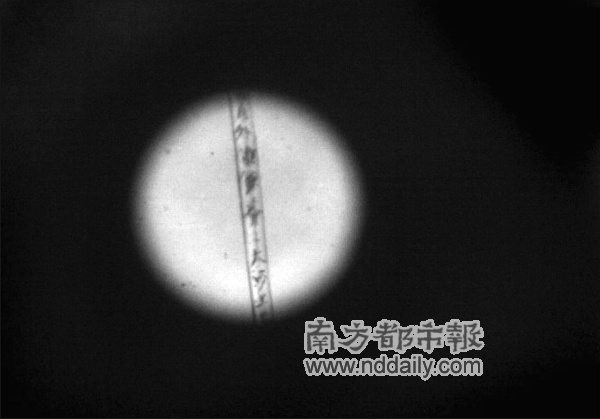 头发丝上雕刻《沁园春?雪》