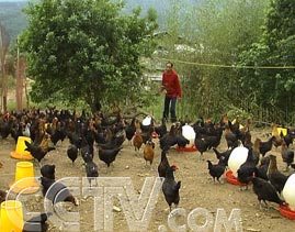 ����֮ǰ�ȼ���