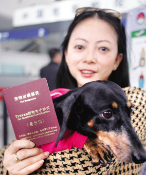 为带小狗移民日本 主人花9个月办签证