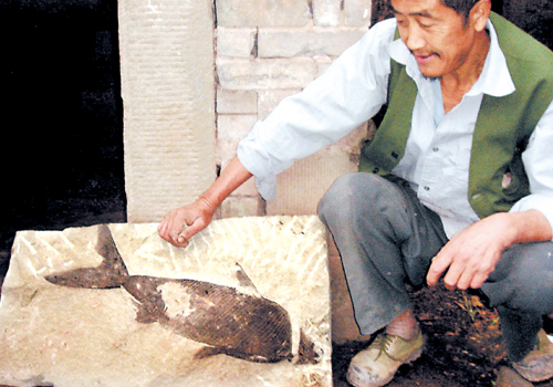 开县石匠修渠凿出远古鱼化石_新闻中心_新浪网