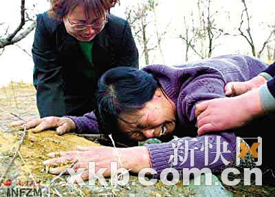 聂树斌冤杀案绝处逢生