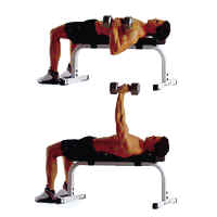 锻炼出健壮的胸部肌肉