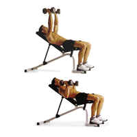 锻炼出健壮的胸部肌肉_新闻中心_新浪网