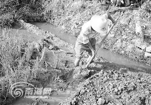 海口一石材加工厂排出大量石浆侵入农田[图]