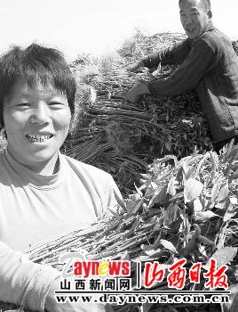 英言乡人口_垣曲县英言乡扶贫车间建在家门口