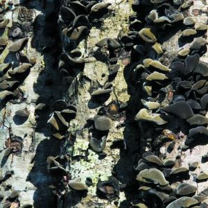 开化摄影慈善之旅顺利结束影展尚未开始 有人