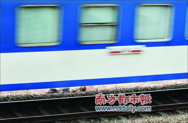 铁路边种树 被火车撞死