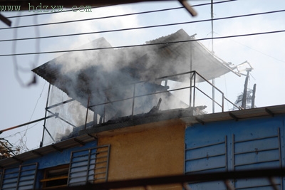 鸽舍莫名失火烧死一窝鸽子