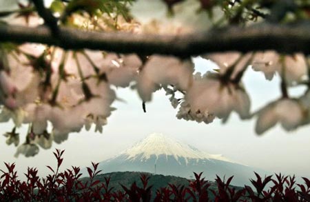 中日将泰山与富士山结为友好山
