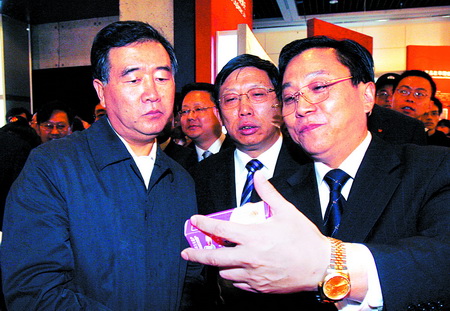 合川桃片天厨味精闪亮世博会