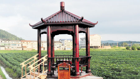 菜地里修曲径建仿古凉亭