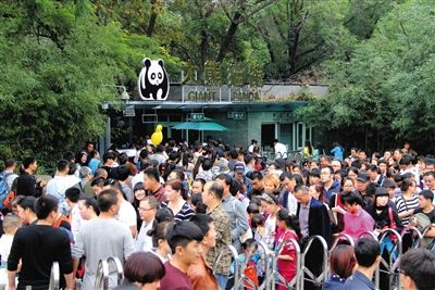 昨日,北京动物园,大熊猫馆挤满了游客。拍者 董俊峰