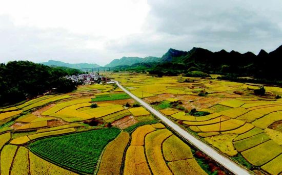 桂北初冬田园美