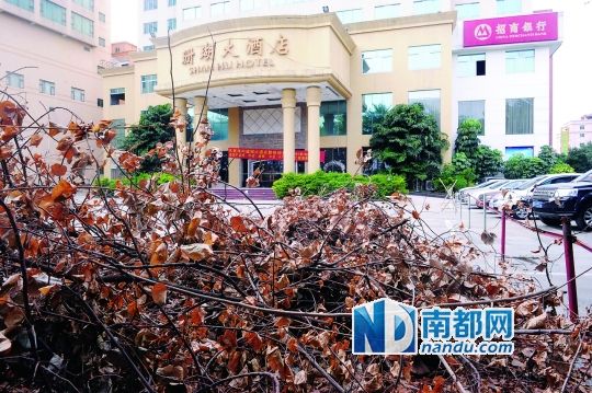 厚街老牌酒店珊瑚酒店已结业,院内堆满枯枝,门上挂着出租横幅。 南都记者 刘在富 摄
