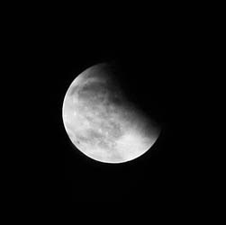 f7cb354ef0e0083a00d713f6c9e3acf9.JPG