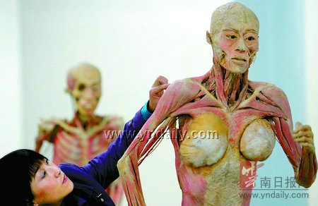 8具"木乃伊"来昆参展帮我们"透视"自己