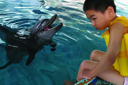 图文:热情的海豚在招呼孩子