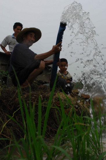 图文:湖北襄樊王岗村农民从几百米外提水保苗