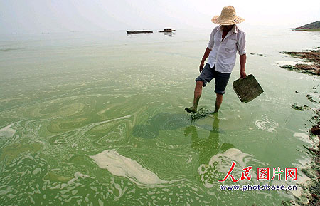 卫星监测发现太湖和巢湖又出现大范围蓝藻(图
