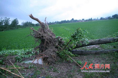 组图:龙卷风袭击江苏高邮5人死亡