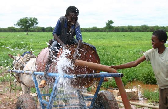 图文:携手共发展 合作谱新篇――中石油海外项