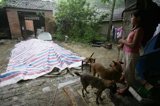 图文:安徽临泉瓦店镇的一个女孩在屋檐下避雨