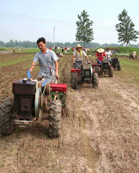 图文:安徽五河县蔡家湖村农民在抢种玉米