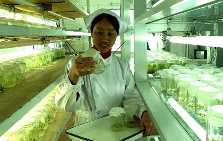 人口粮食_世界粮食安全状况与饥饿人口分布 延伸阅读(3)