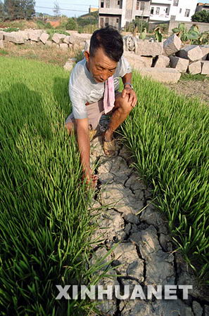 ͼ�ģ������������ҵĵ������ܺ�