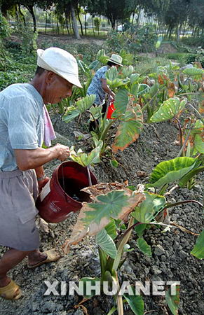 ͼ�ģ�������Լ��ܺ���ή��ũ���ｽˮ