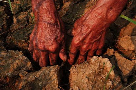 ������ԭ��Ķ������������غ���(��ͼ)