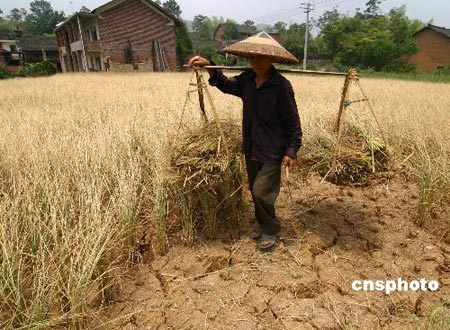 ��ͼ������¦������10���������ظɺ�