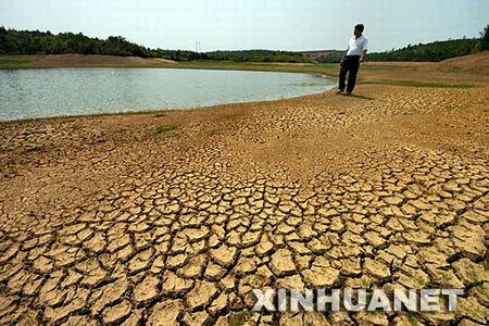 组图：长沙出现50年一遇特大干旱