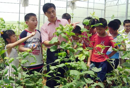 图文:青少年蚕研所里学科学(2)