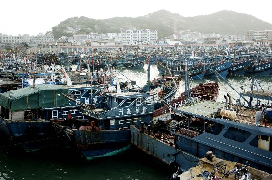 图文:渔船在福建东山县大澳渔港避风_新闻中心_新浪网