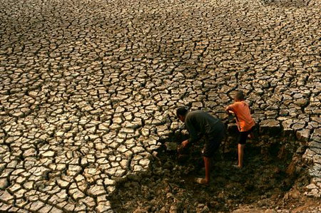 ����¦��������������1600��Ķũ�����ܺ�(ͼ)