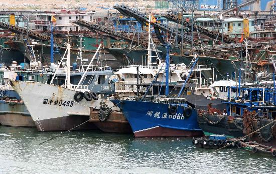 图文:在福建厦门闽台渔轮避风港避风的船舶