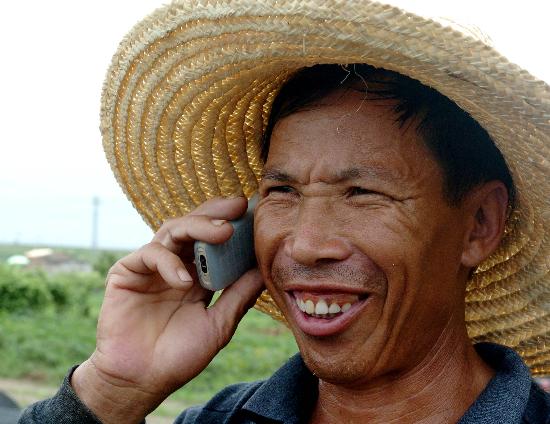 接十七大·科学发展](2)福建建设农村信息化工