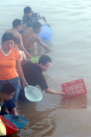 很多人拿着捕鱼工具在江边捞