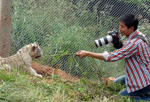 图文:春城晚报摄影部摄影记者苏颖