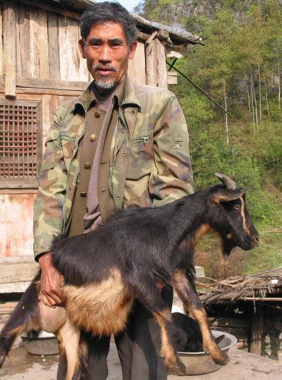 图文:扶贫办岂能坑农?――贵州省织金县扶贫