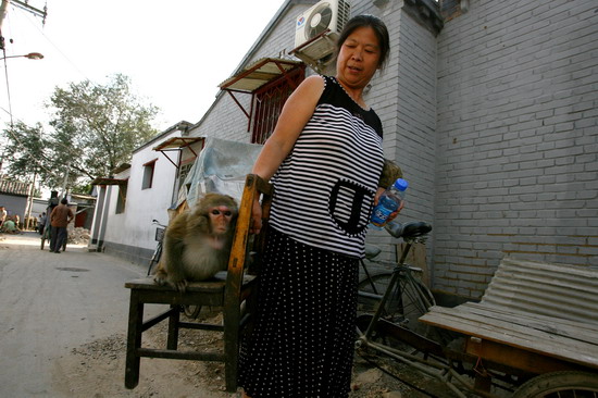 组图:目击-后海胡同翻新