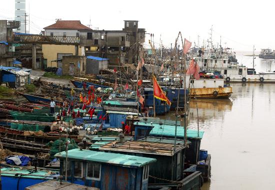 图文:数百艘渔船停靠在上海市南汇区芦潮港