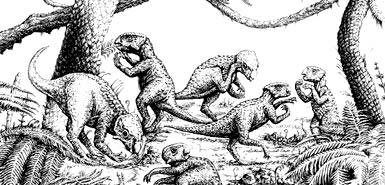 ��ѧ�����������ֿ������ж�������ַ(��ͼ)