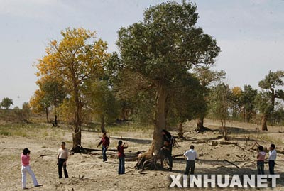 组图：黄金周新疆沙漠旅游升温