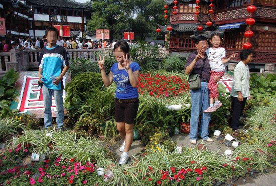 图文:不文明行为使上海豫园国庆花坛受损