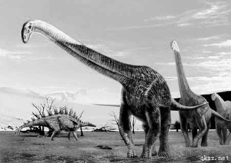 新疆奇台恐龙沟再次出现巨型化石(组图)